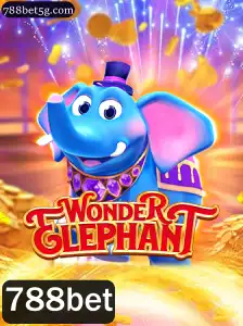 Descubra o Fantástico Mundo de WonderElephant e as Regras para Dominar o Jogo